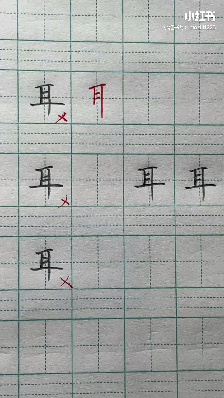 耳部笔顺最新研究揭秘