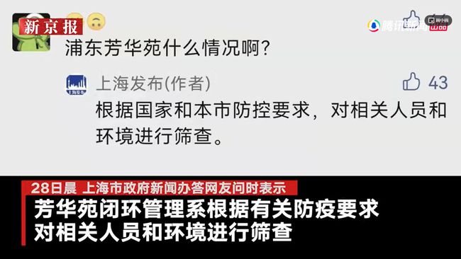 上海最新疫情动态，城市坚守与希望之花绽放